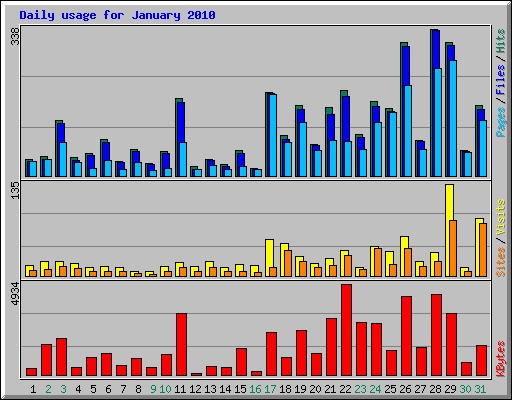 Daily usage for January 2010