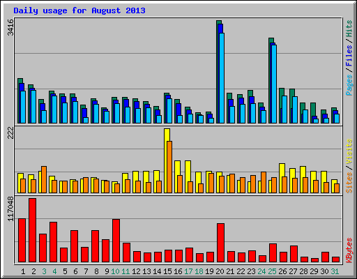 Daily usage for August 2013