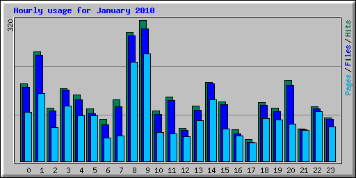 Hourly usage for January 2010