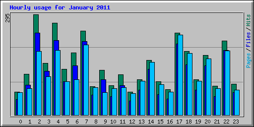 Hourly usage for January 2011