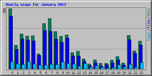 Hourly usage for January 2013