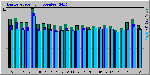 Hourly usage for November 2013
