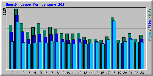 Hourly usage for January 2014