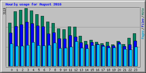 Hourly usage for August 2016