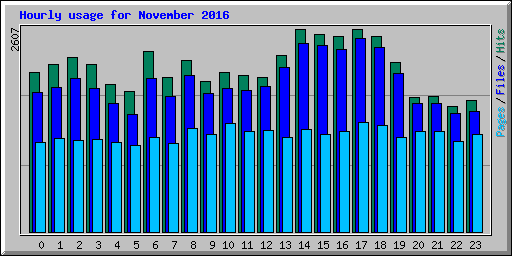 Hourly usage for November 2016