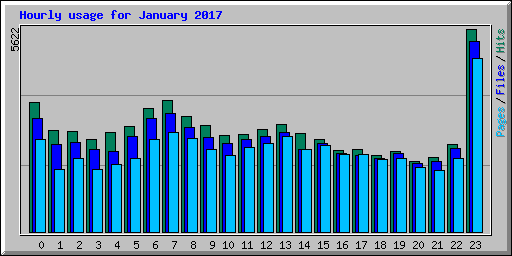 Hourly usage for January 2017