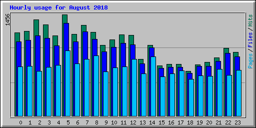 Hourly usage for August 2018